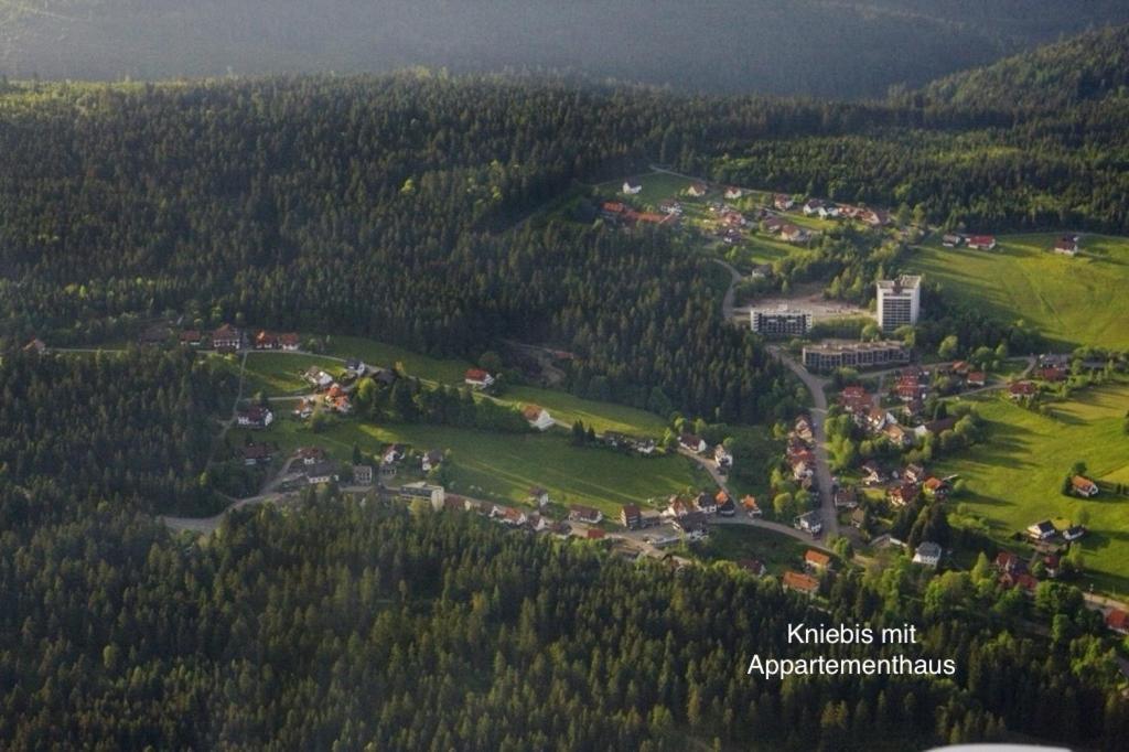 3- 2-1 - Raum - Ferienappartements Dieter Hoffmann Freudenstadt-Kniebis Beim Nationalpark Buitenkant foto