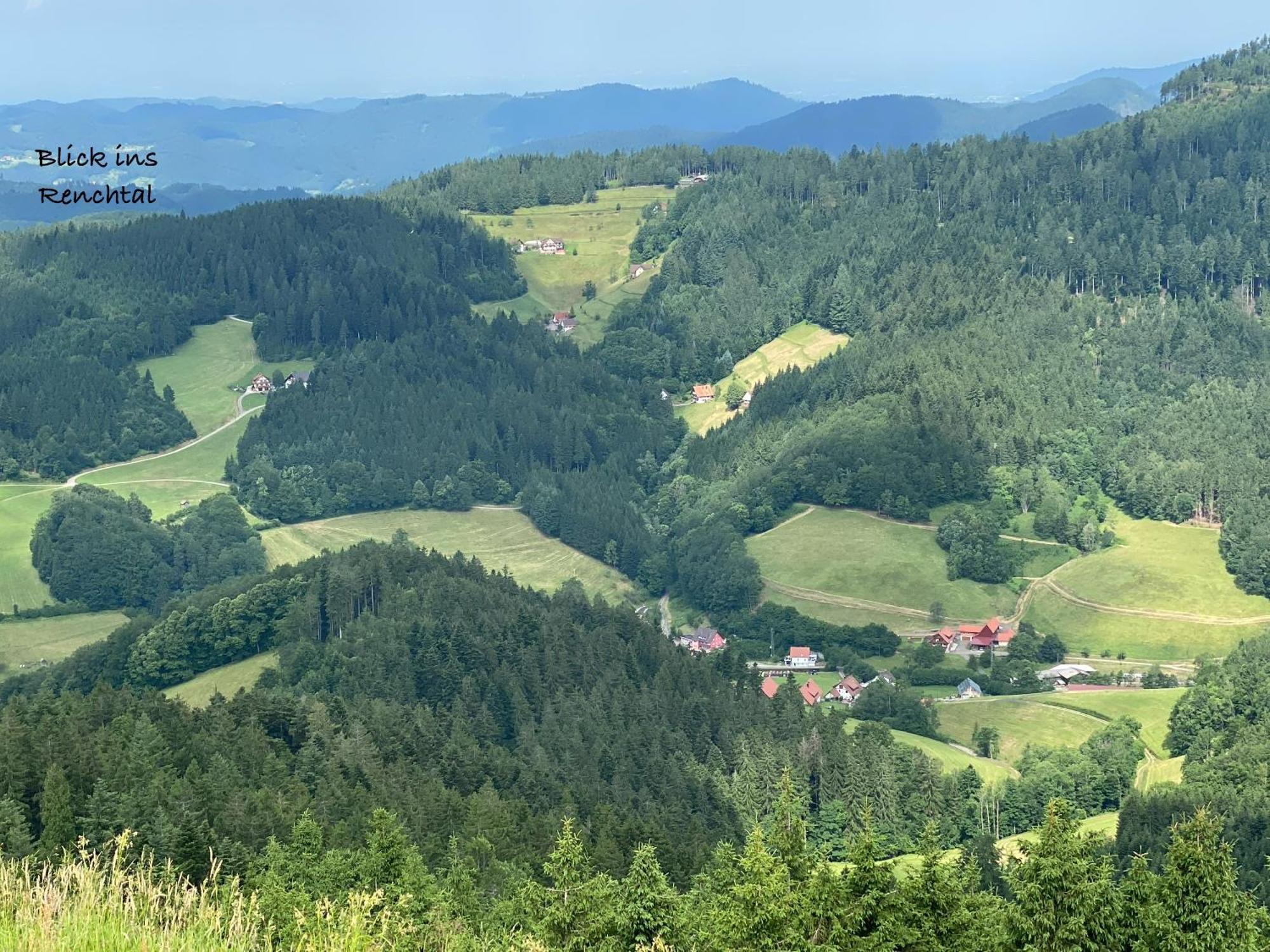 3- 2-1 - Raum - Ferienappartements Dieter Hoffmann Freudenstadt-Kniebis Beim Nationalpark Buitenkant foto