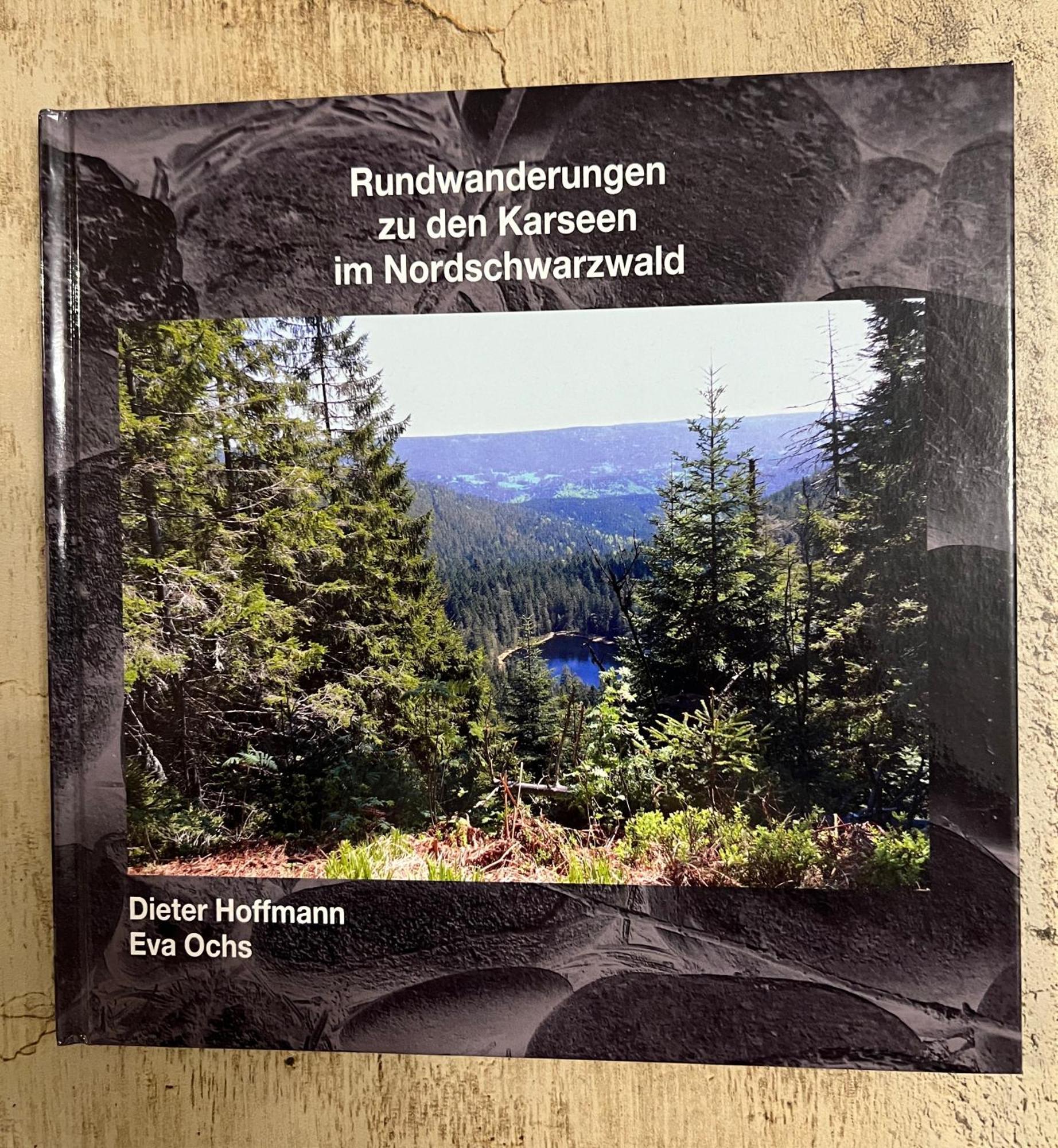3- 2-1 - Raum - Ferienappartements Dieter Hoffmann Freudenstadt-Kniebis Beim Nationalpark Buitenkant foto