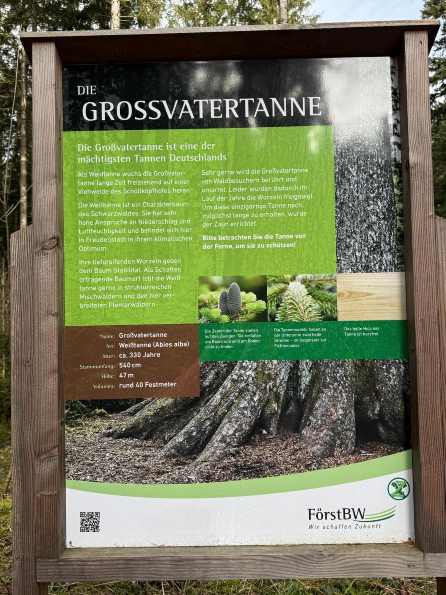 3- 2-1 - Raum - Ferienappartements Dieter Hoffmann Freudenstadt-Kniebis Beim Nationalpark Buitenkant foto